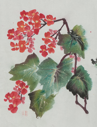 Chinese water color of a red begonia with greenish brown leaves on a white background