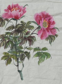 Chinese water color of a pink peone with green leaves on a white background